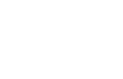 Ritz Carlton Orlando logo